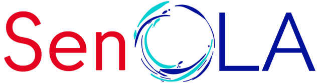 Logo ENOLA